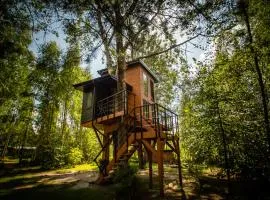 Domek na drzewie - Na Łośmiu Metrach