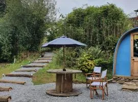 Gower Pods