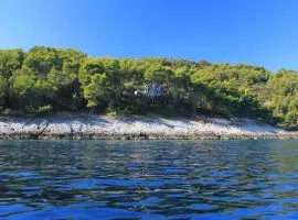 Secluded fisherman's cottage Cove Spiliska, Korcula - 9142