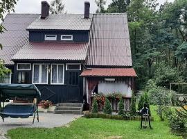 Domek - Leśna Kryjówka，位于Promnik的酒店