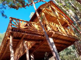 Cabaña en el Bosque de San José del Pacífico 4，位于San Mateo Río Hondo的酒店