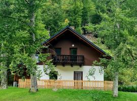 Radovna Mountain Valley Cottage，位于佐尔尼耶戈迪的宠物友好酒店