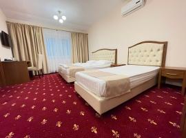 Hostel Paltinis，位于胡内多阿拉的酒店