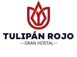 Hostal Tulipán Rojo，位于Lambayeque的住宿加早餐旅馆