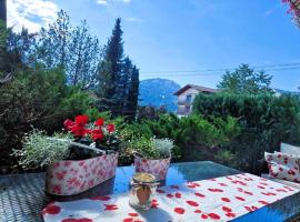 Ferienwohnung Alpenherz，位于上迈塞尔施泰因的酒店