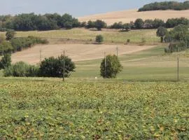 Les treilles d'en Peyre