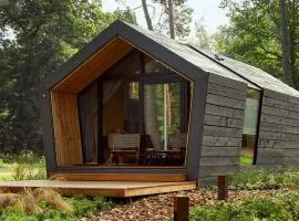 Diamond Suite in the woods