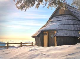 Chalet Velika Planina - I FEEL ALPS，位于Stahovica的酒店