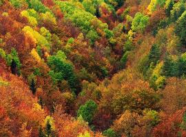 Casita Pelopin，位于Frajén的酒店