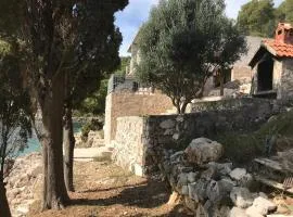 Secluded fisherman's cottage Cove Lucica, Hvar - 15546