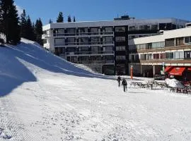 Studio aux pieds des pistes Roche Béranger