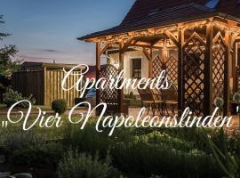 Apartments "Vier Napoleonslinden"，位于奥尔施泰特的带停车场的酒店