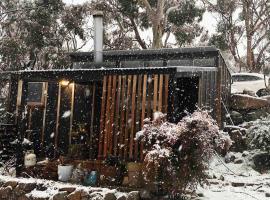 ReThynk Unique Tiny home East Jindabyne，位于金德拜恩的别墅