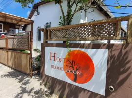 Hostal Blood Moon，位于里约杜尔塞的酒店