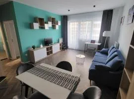 New luxury apartment next to subway with garage