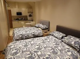 London Luxury Apartments 5 min walk from Ilford Station, with FREE PARKING & FREE WIFI