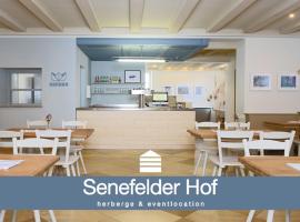 Senefelder Hof，位于Solnhofen的酒店