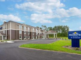 Microtel Inn & Suites by Wyndham Amsterdam NY，位于阿姆斯特丹的酒店