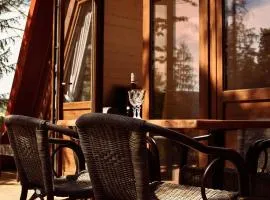 Przystań nad Sanem z widokiem na góry i rzekę