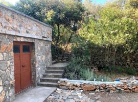 Secluded fisherman's cottage Zman, Dugi otok - 19000，位于兹曼的度假屋