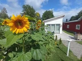 Attefallshus säng 160 bäddsoffa 160