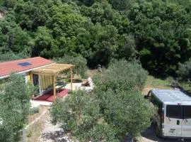 Secluded fisherman's cottage Cove Skozanje, Hvar - 19749