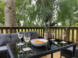 Teviotdale Lodge at Lilliardsedge Holiday Park，位于杰德堡的酒店