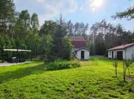 Leśne Studio