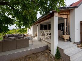 d.Five Vineyard & Retreat Kőröshegy，位于Kőröshegy的酒店