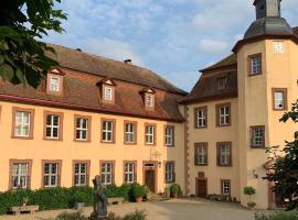Private apartment in historic castle from 1608 with tenniscourt，位于Zeitlofs的酒店