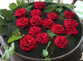 Eveline 2 - Piscina Privata o Jacuzzi，位于圣雷莫的酒店