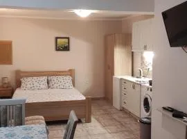 Apartman Pijavica