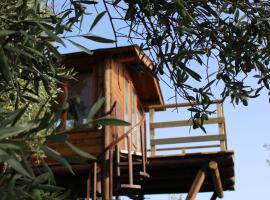 The Treehouse - Casa sull'albero al Golden Camp，位于法莱尔纳的酒店