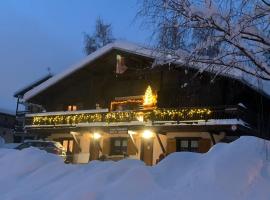 APPARTEMENT VUE SUR LES PISTES Aux SAISIES 4，位于雷塞兹茱莱斯滑雪缆车附近的酒店