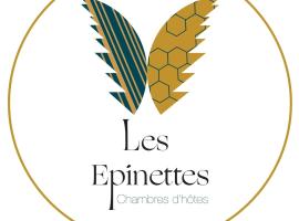 Les Epinettes chambres d'hôtes，位于Crèvecoeur-le-Grand的住宿加早餐旅馆