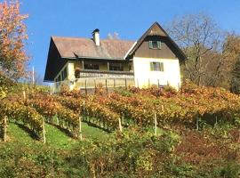 Malerisches Weingartenhäuschen in Kitzeck，位于绍萨尔地区基策克的公寓