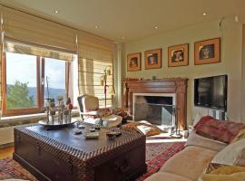 Plethora Arachova Luxury Chalet，位于阿拉霍瓦的豪华酒店