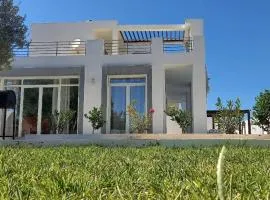 Magnifique villa avec piscine sur l’île de Djerba pour vacances