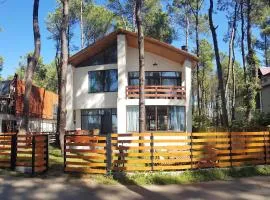 Beachfront 4-bedroom home in Kaprovani pine forest