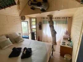 Charmante cabane perchée