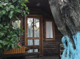 Zeytindağı bungalow，位于Mehmetalanı的酒店