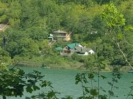 Union apartmani Boracko jezero