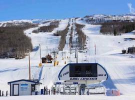 Bjorli Apartment 203 (200m til Skitrekk)，位于BjorliReinheimen National Park附近的酒店