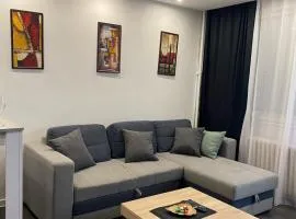 Apartman Mici