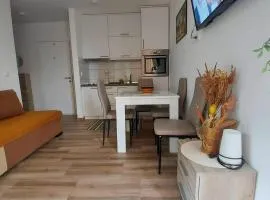 Apartman Zdravkovic & SPA