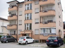 Apartman Vesna，位于多博伊的酒店