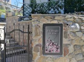 IL CILIEGIO DI ZOE，位于Cerro Lago Maggiore圣卡特里娜萨索修道院附近的酒店