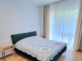 Lily Central Apartment with free parking，位于特尔古穆列什的公寓