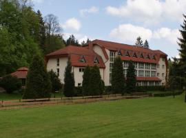 Hotel i Restauracja Złoty Las，位于Złoty Las的酒店