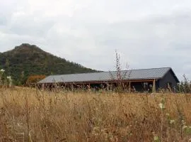 jelenrét